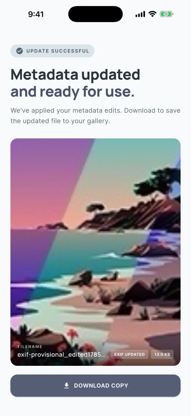 Update successful screen showing the edited photo and a Download copy button