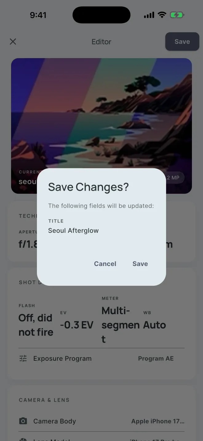 Save Changes dialog listing the title field that will be updated
