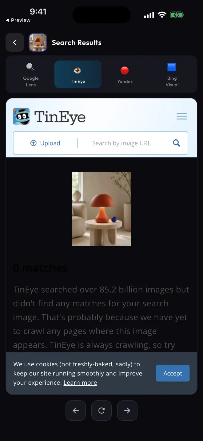 Search results screen on the TinEye tab: TinEye reports 0 matches for the photo